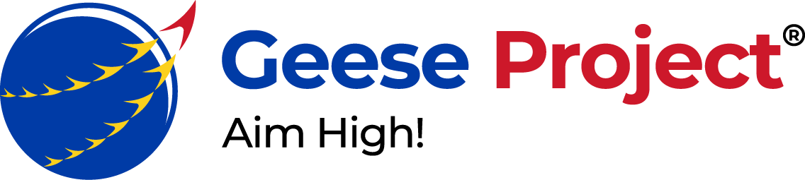 The Geese Project