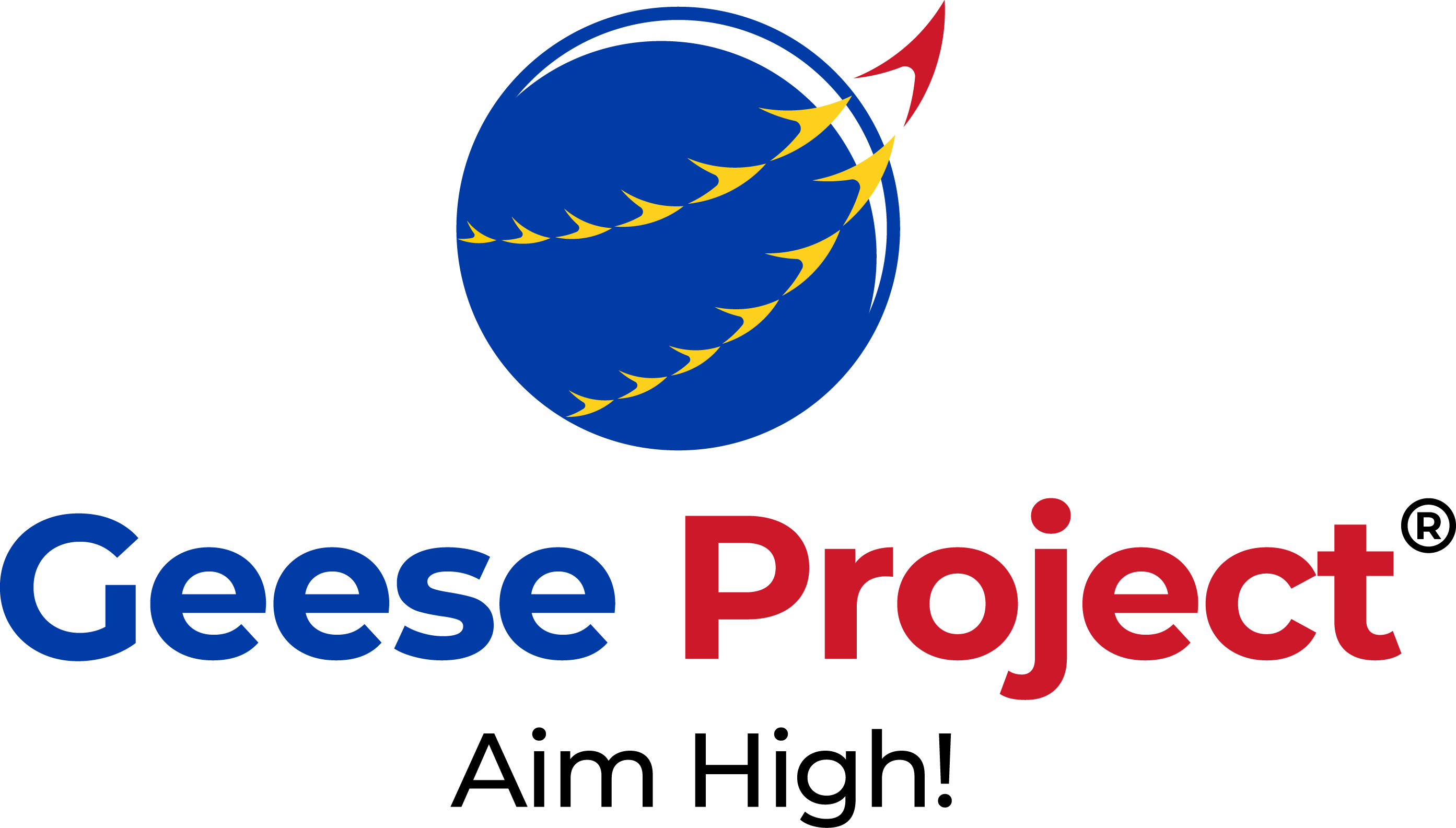 The Geese Project